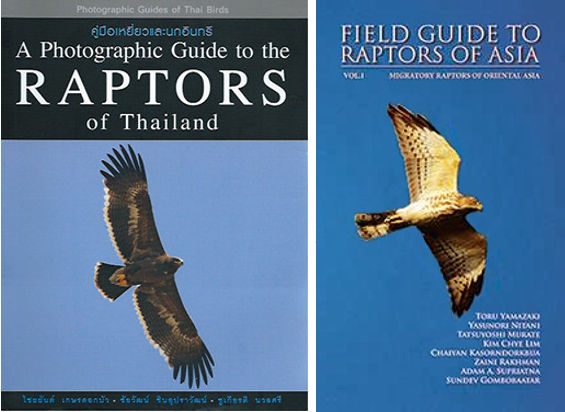 Raptor field guides by Dr. Chaiyan Kasorndorkbua